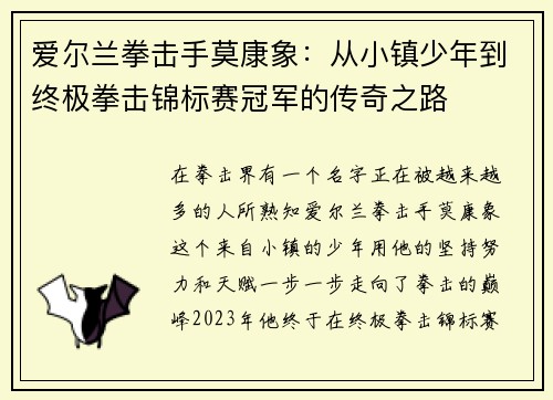爱尔兰拳击手莫康象：从小镇少年到终极拳击锦标赛冠军的传奇之路